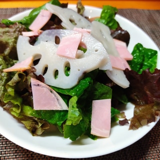 シャキシャキれんこんの生野菜サラダ